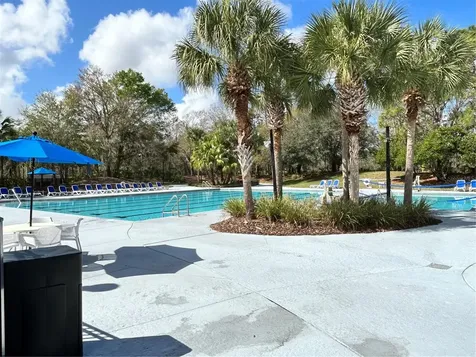 15020 Eaglerise Drive Lithia FL 33547