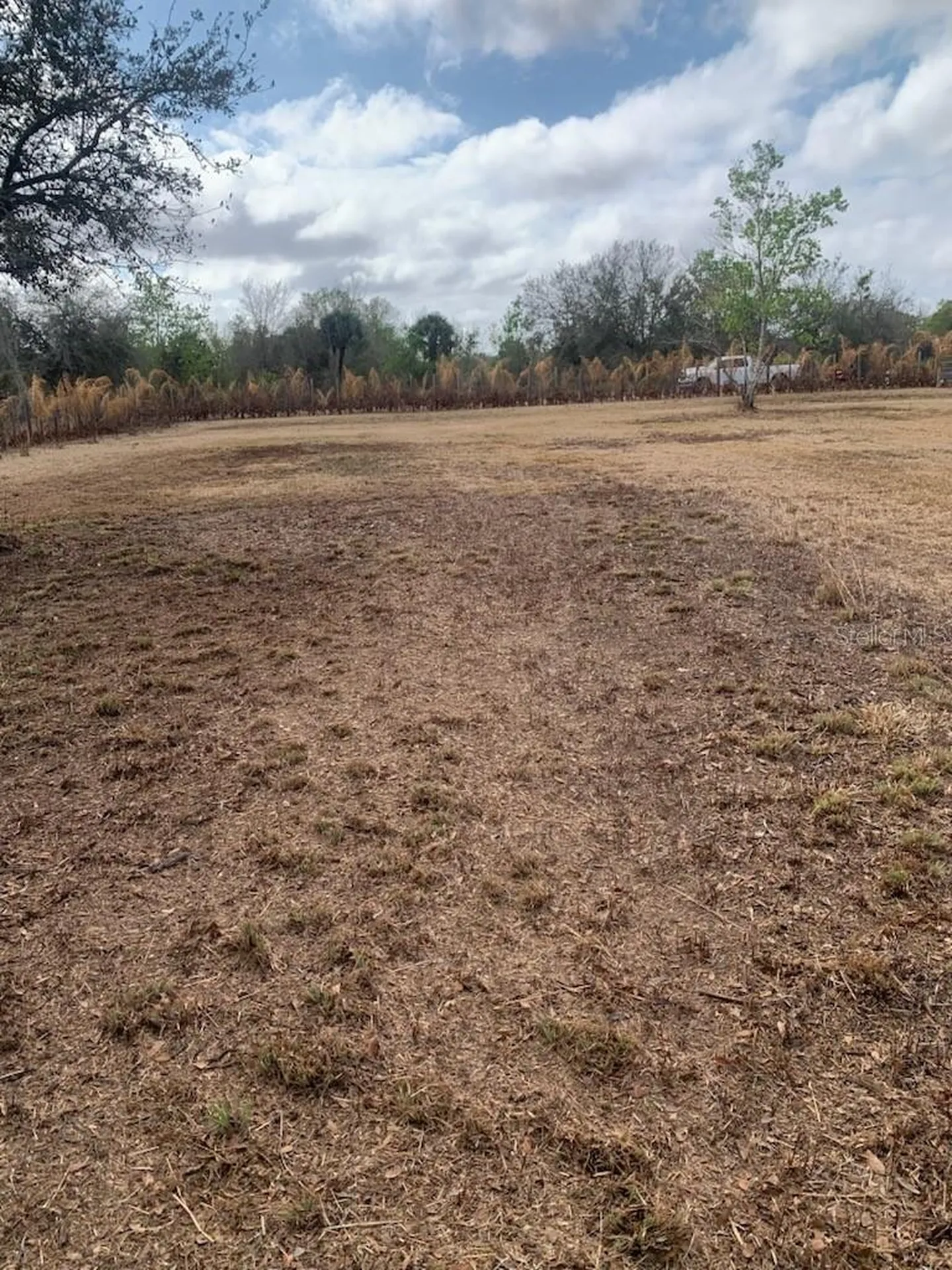 17231 NW 268th Street Okeechobee FL 34972