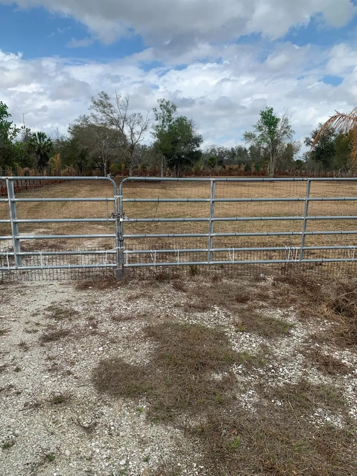 17231 NW 268th Street Okeechobee FL 34972