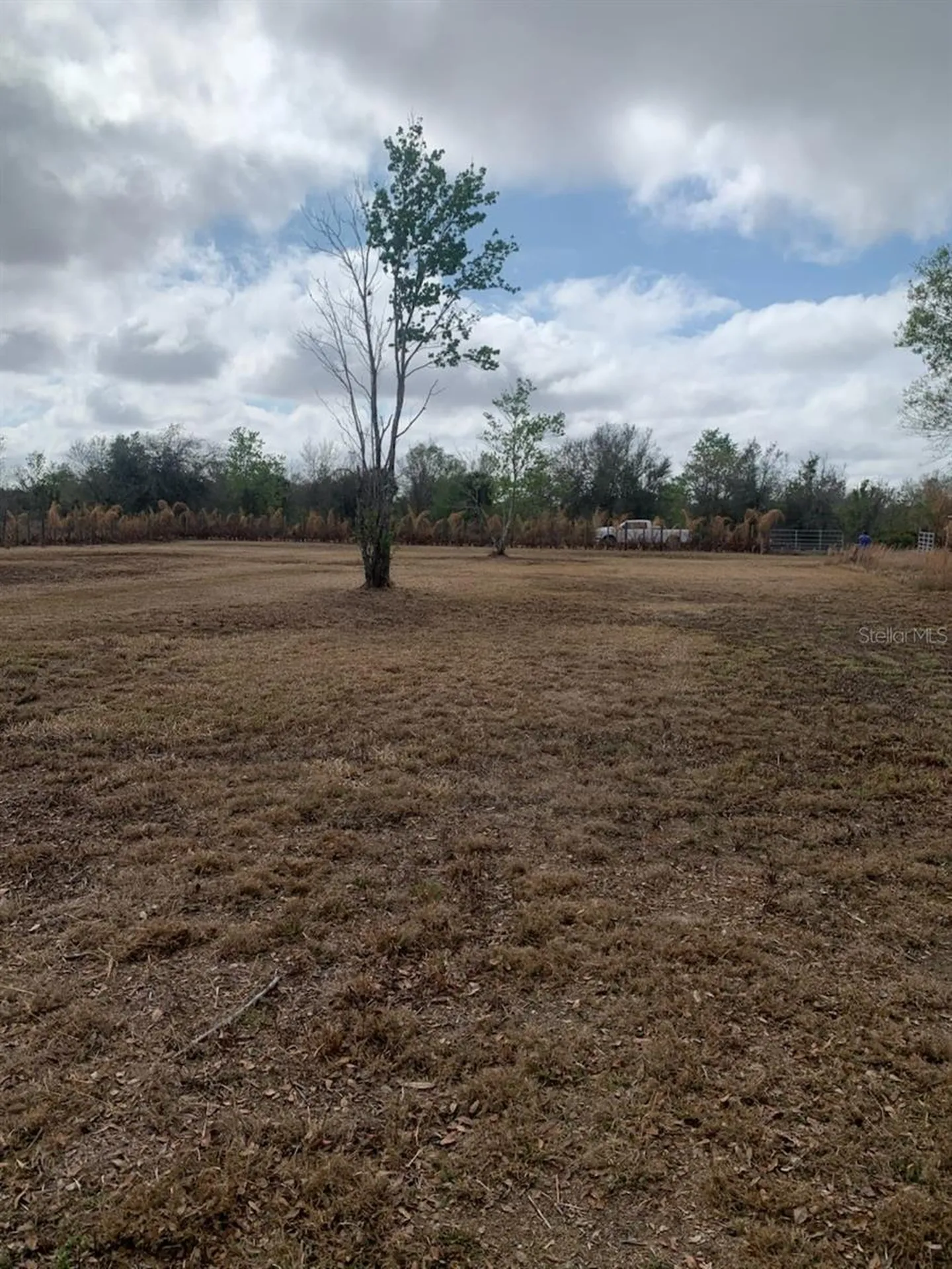 17231 NW 268th Street Okeechobee FL 34972