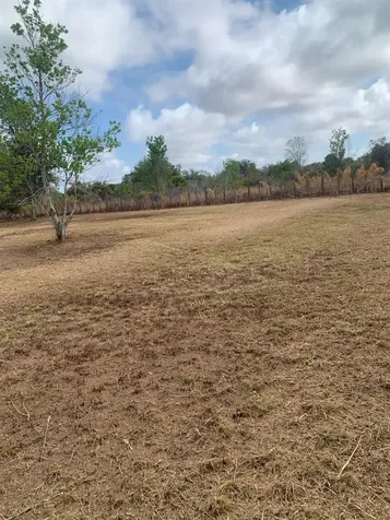 17231 NW 268th Street Okeechobee FL 34972
