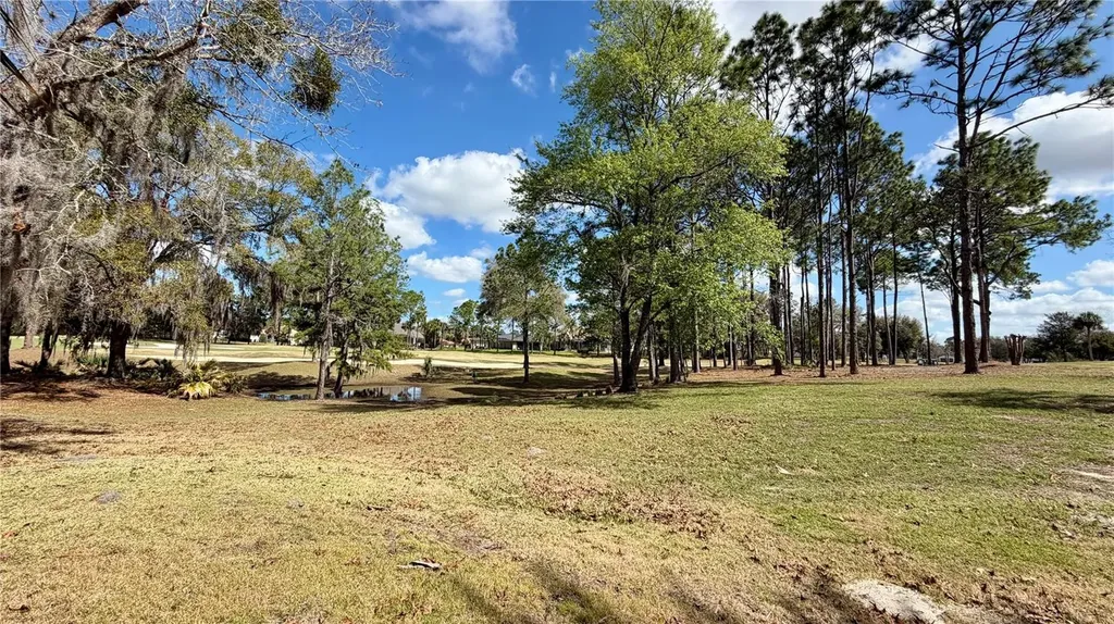 6717 SW 179th Avenue Road Dunnellon FL 34432