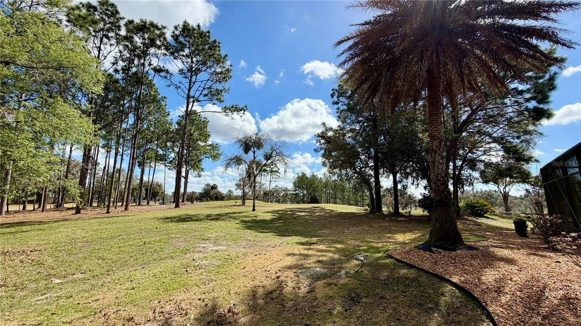 6717 SW 179th Avenue Road Dunnellon FL 34432