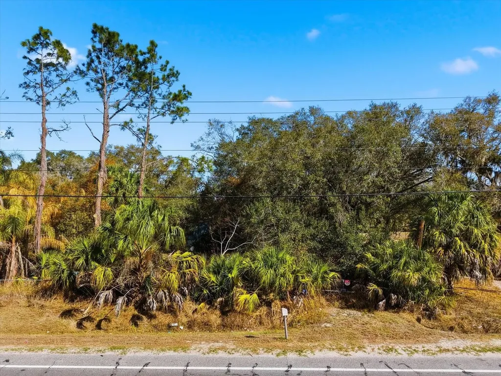 8529 Lithia Pinecrest Road Lithia FL 33547