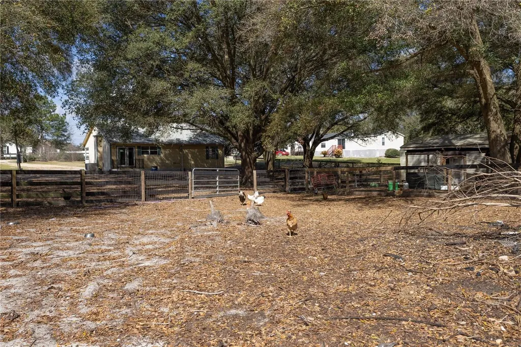 16649 SE 23rd Avenue Summerfield FL 34491