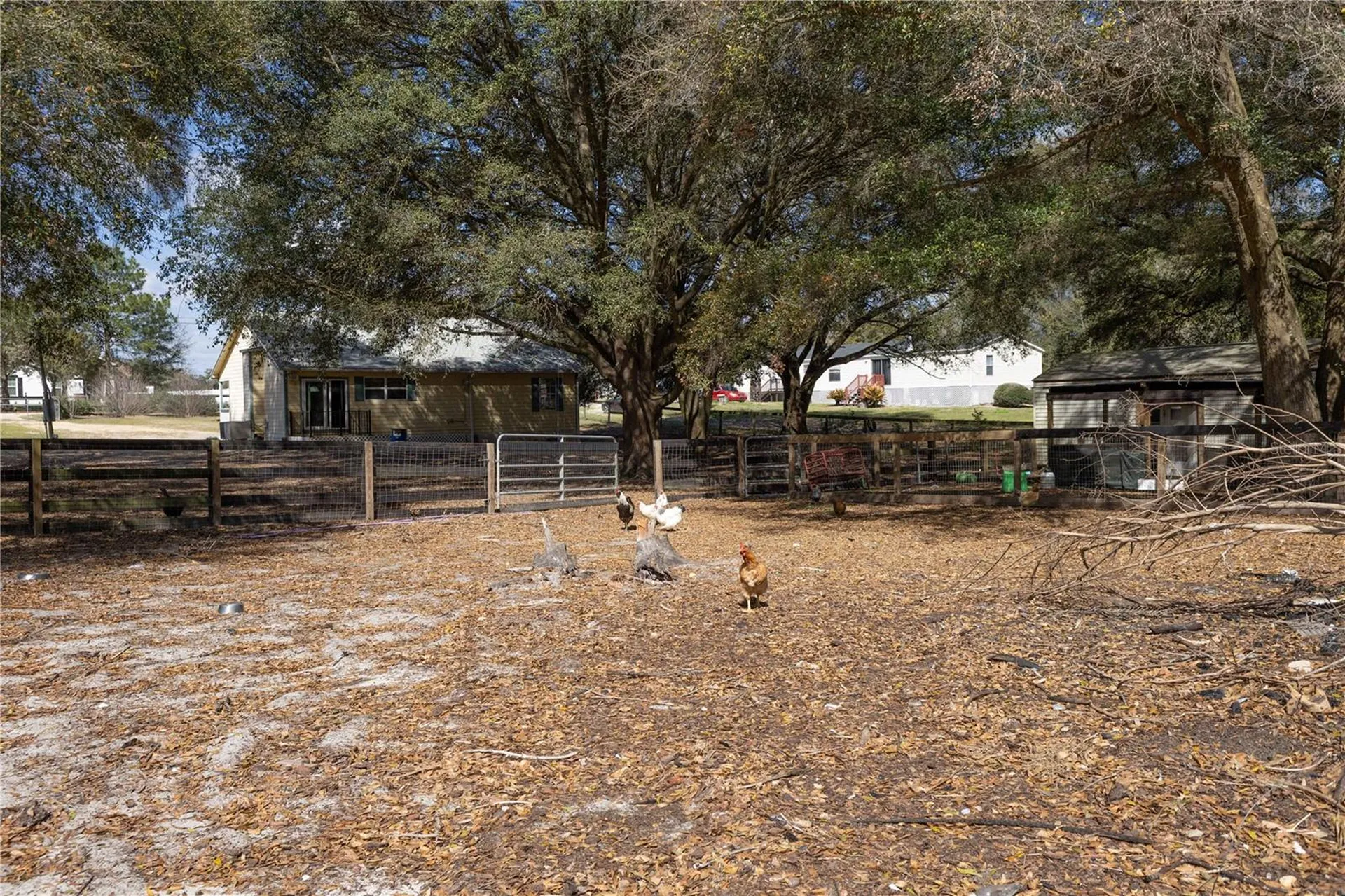 16649 SE 23rd Avenue Summerfield FL 34491