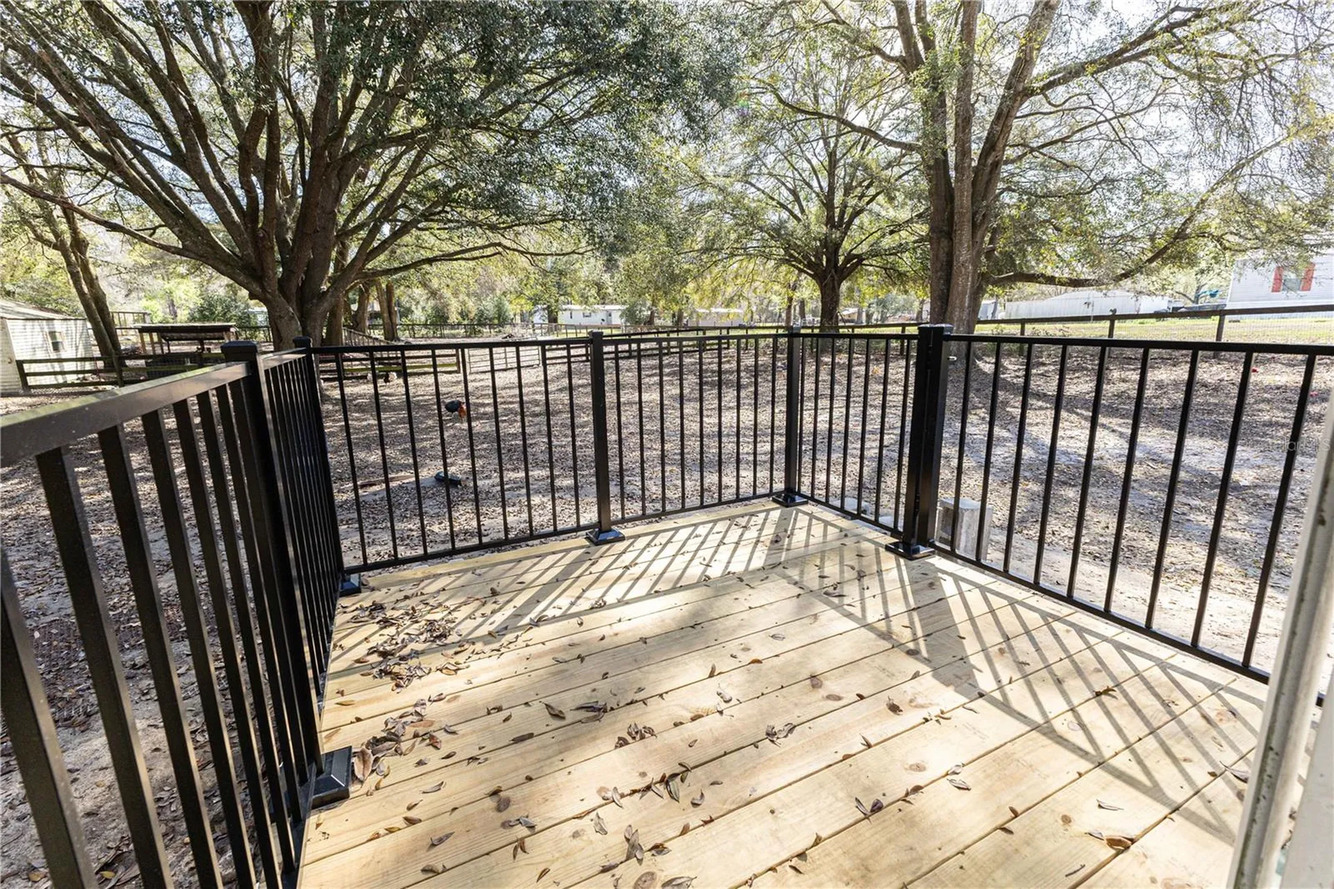 16649 SE 23rd Avenue Summerfield FL 34491