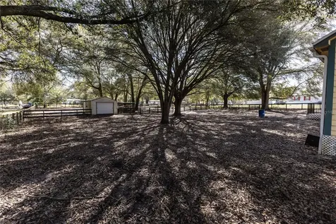 16649 SE 23rd Avenue Summerfield FL 34491