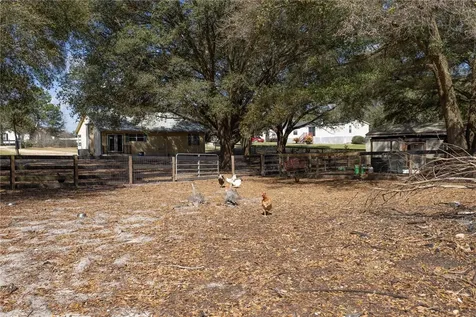 16649 SE 23rd Avenue Summerfield FL 34491