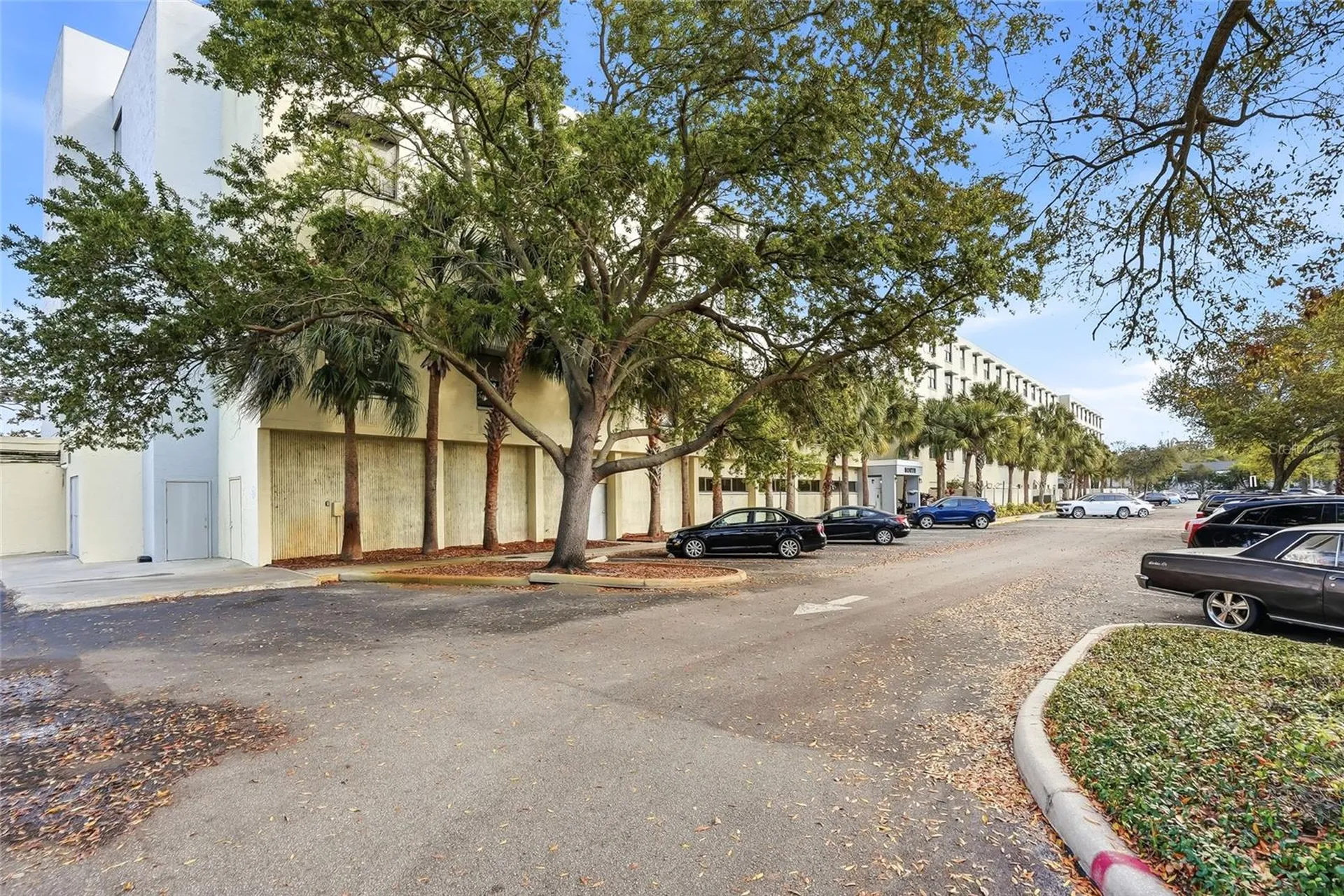 701 S Madison Avenue Clearwater FL 33756