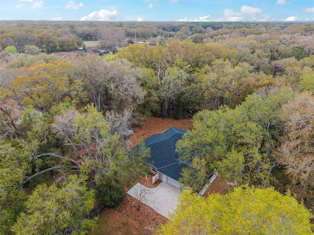 14650 SE 1st Avenue Road Summerfield FL 34491