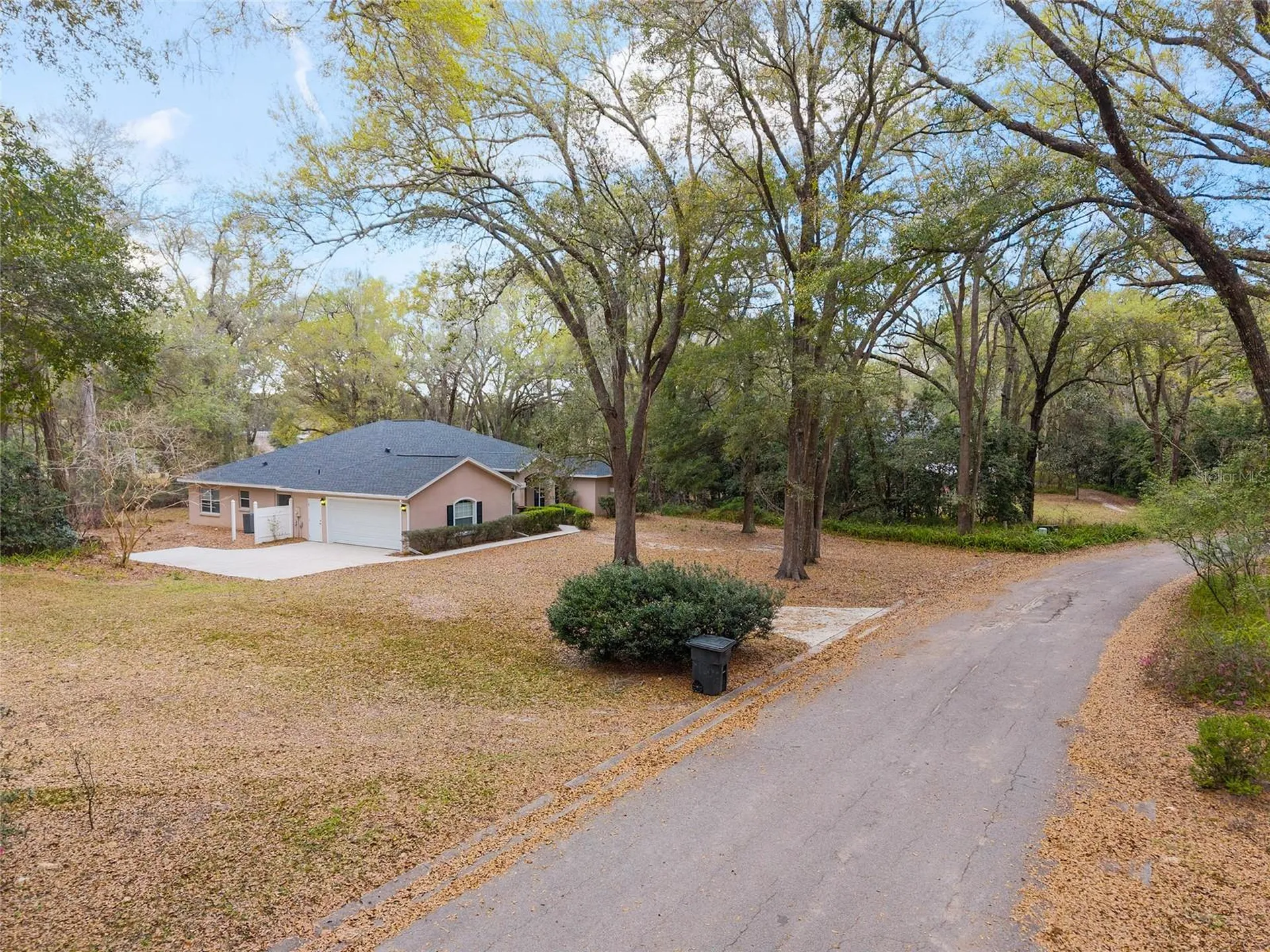 14650 SE 1st Avenue Road Summerfield FL 34491