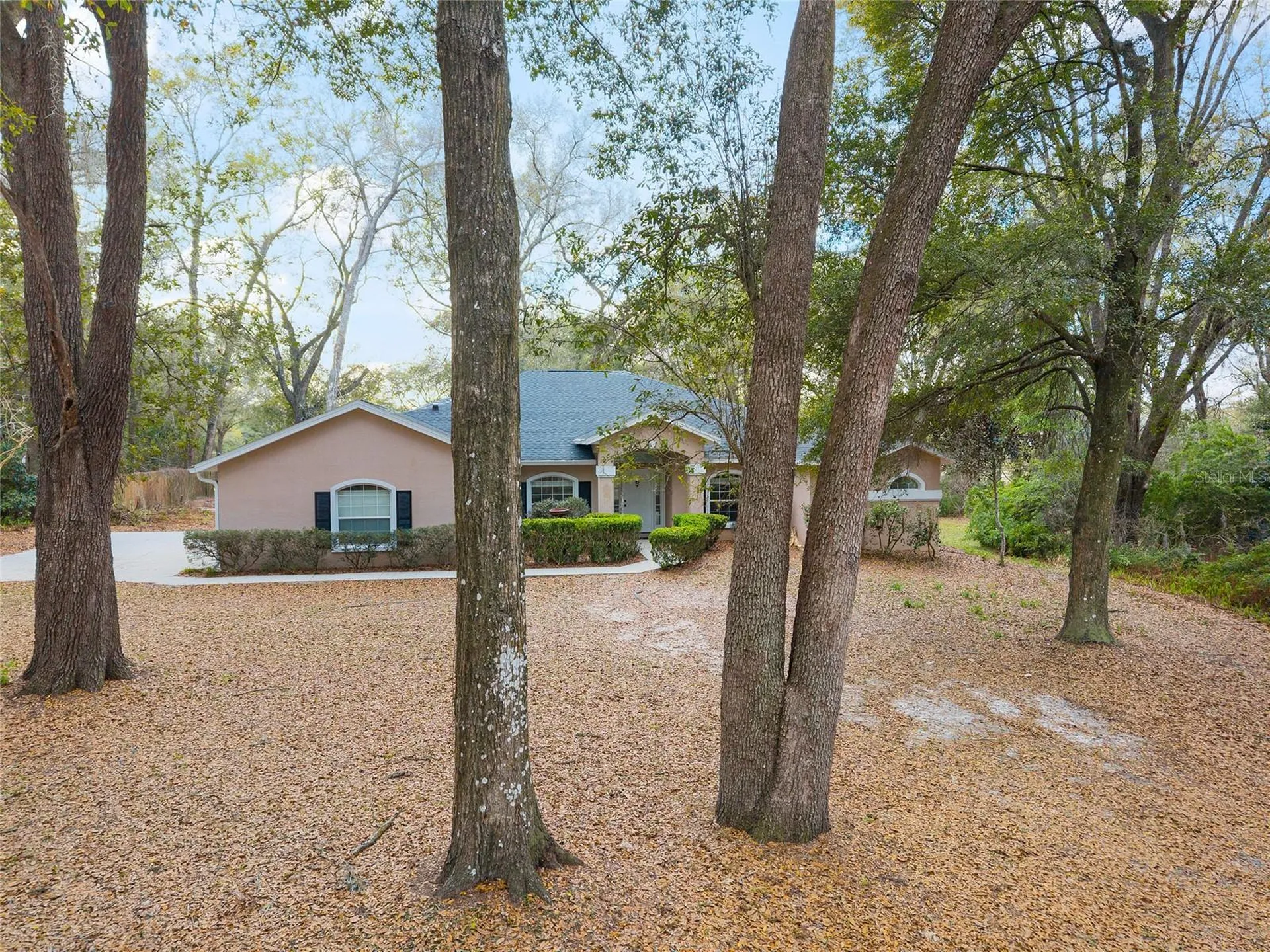 14650 SE 1st Avenue Road Summerfield FL 34491
