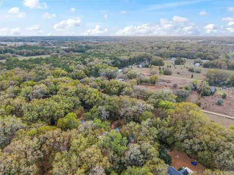 14650 SE 1st Avenue Road Summerfield FL 34491
