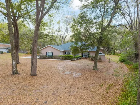 14650 SE 1st Avenue Road Summerfield FL 34491