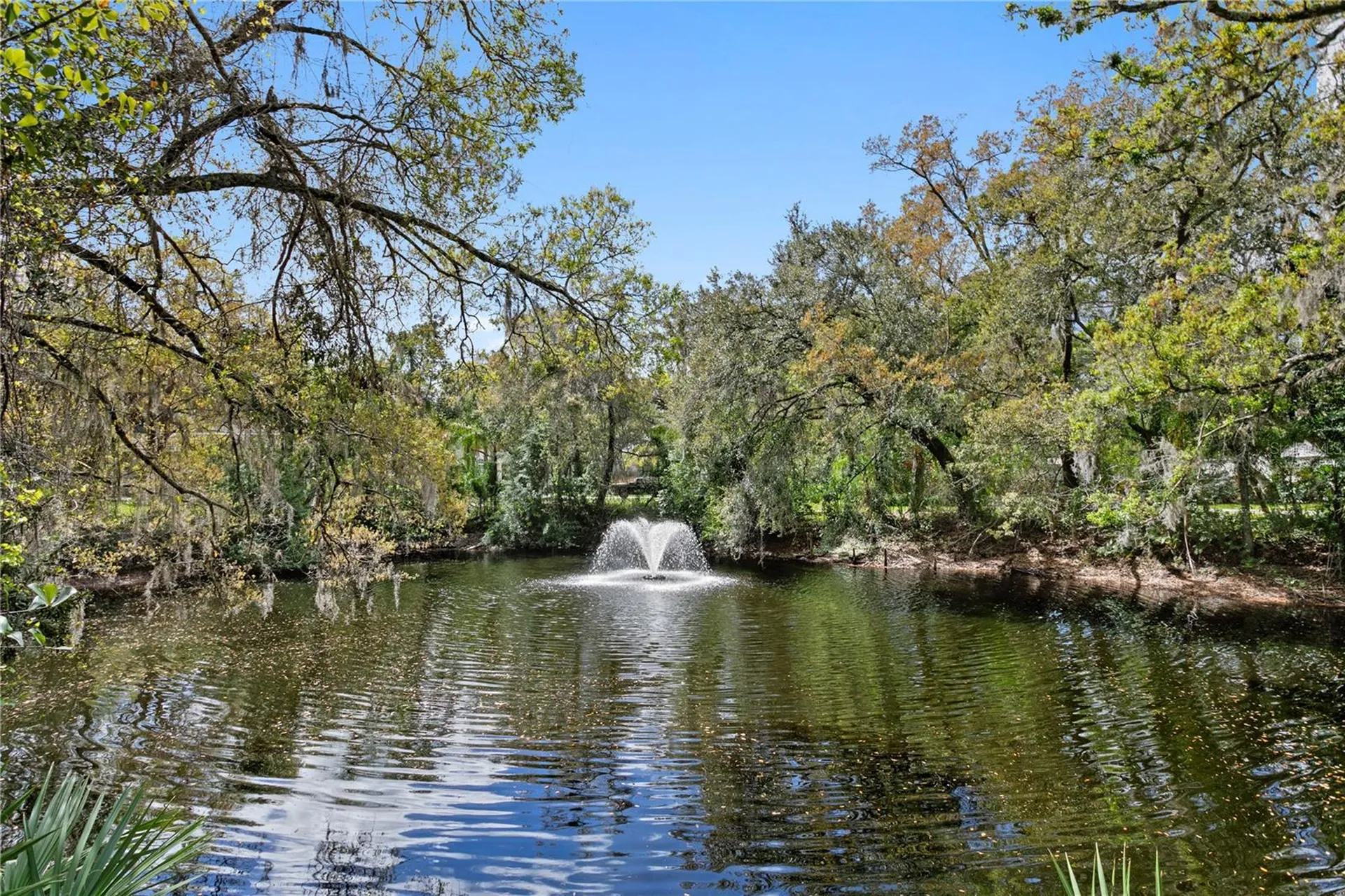 16204 Sierra De Avila Tampa FL 33613