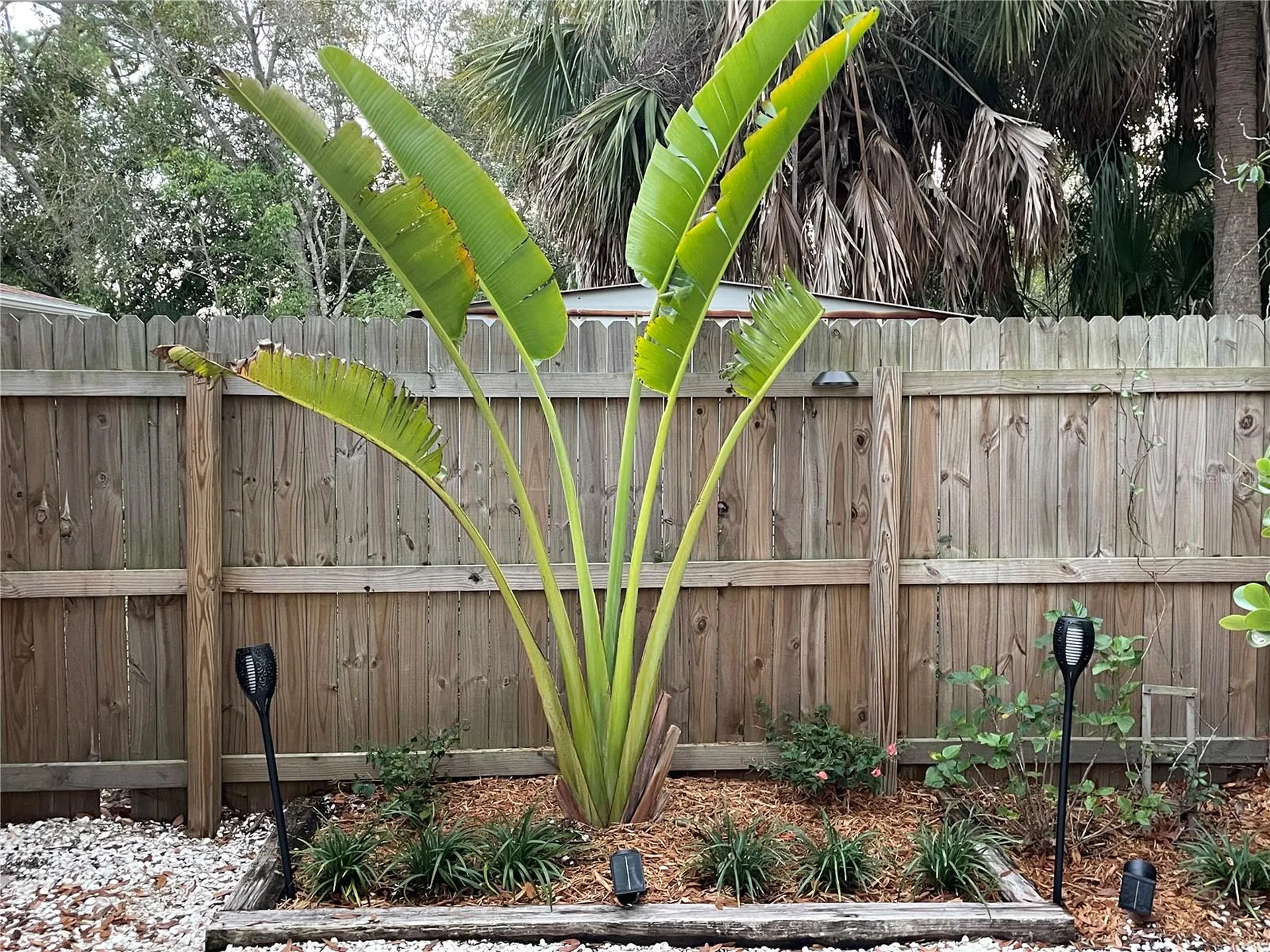 828 S Tuttle Avenue Sarasota FL 34237