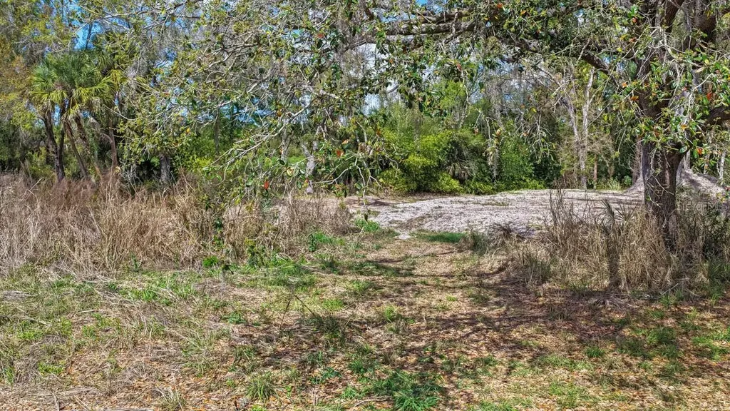 3106 Timberlee Road Wimauma FL 33598