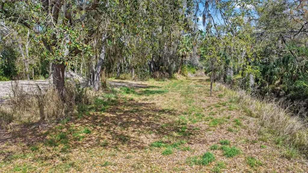 3106 Timberlee Road Wimauma FL 33598