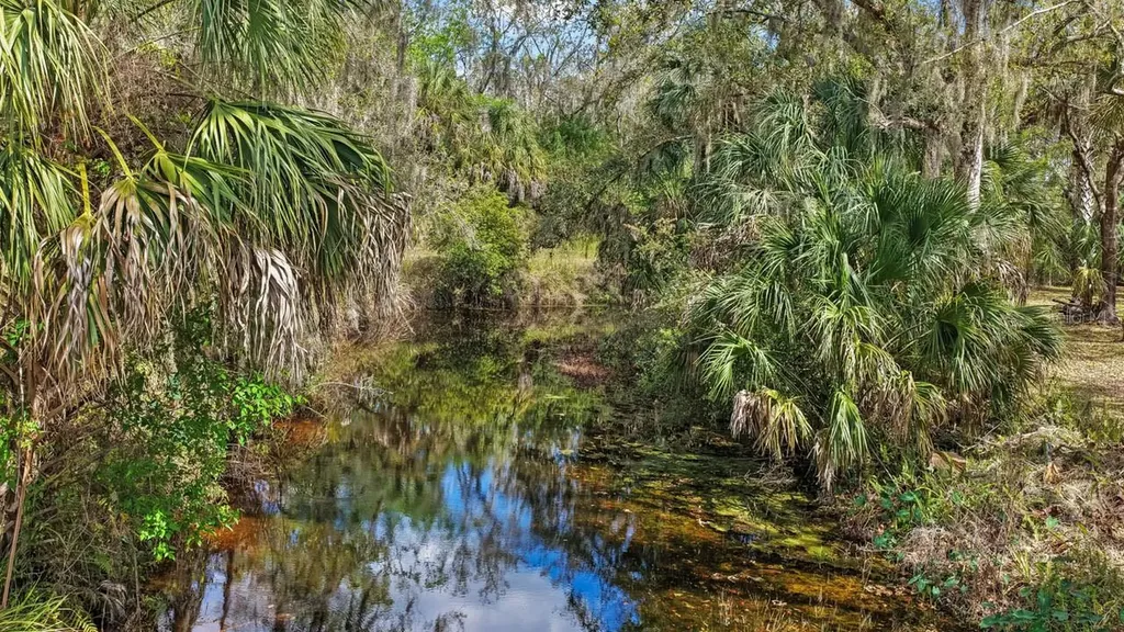 3106 Timberlee Road Wimauma FL 33598
