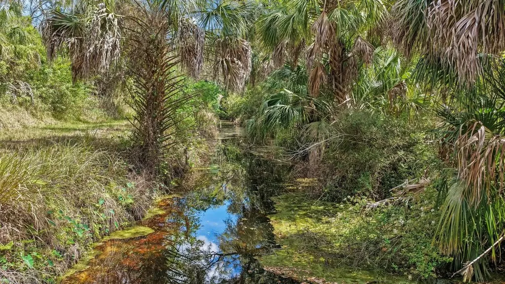 3106 Timberlee Road Wimauma FL 33598