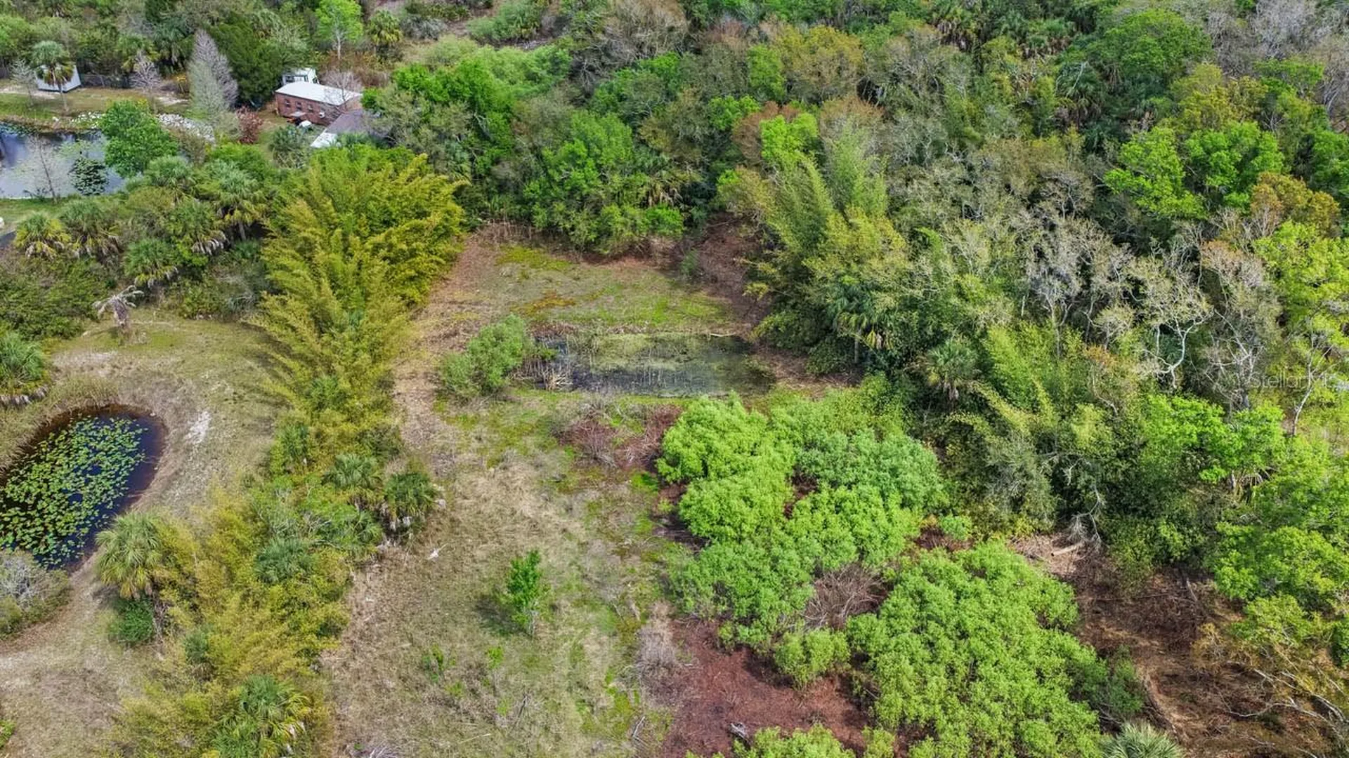 3106 Timberlee Road Wimauma FL 33598