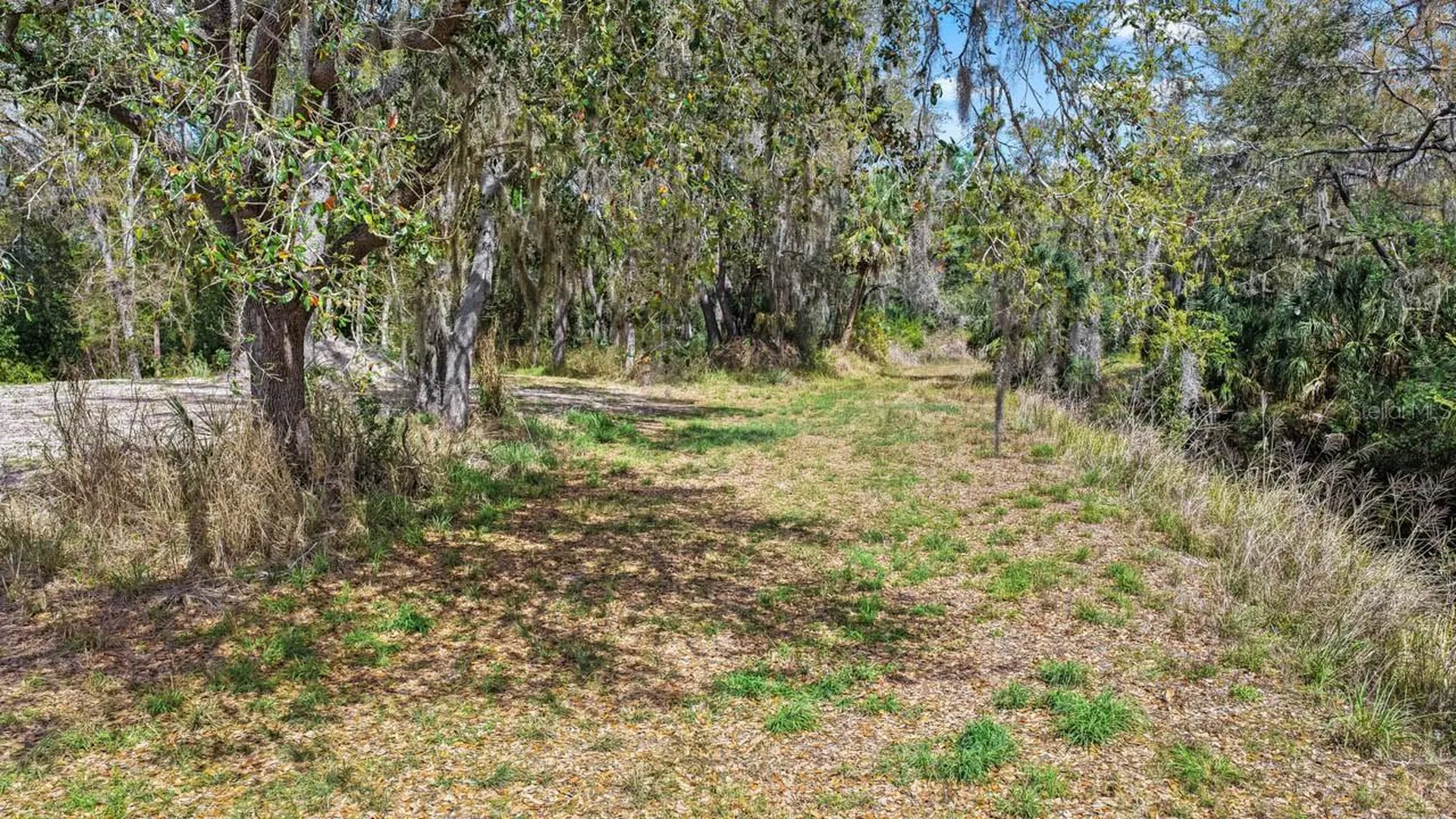 3106 Timberlee Road Wimauma FL 33598