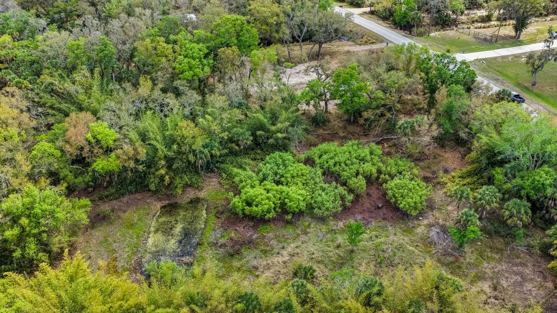 3106 Timberlee Road Wimauma FL 33598