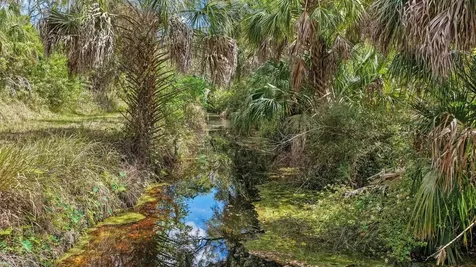 3106 Timberlee Road Wimauma FL 33598