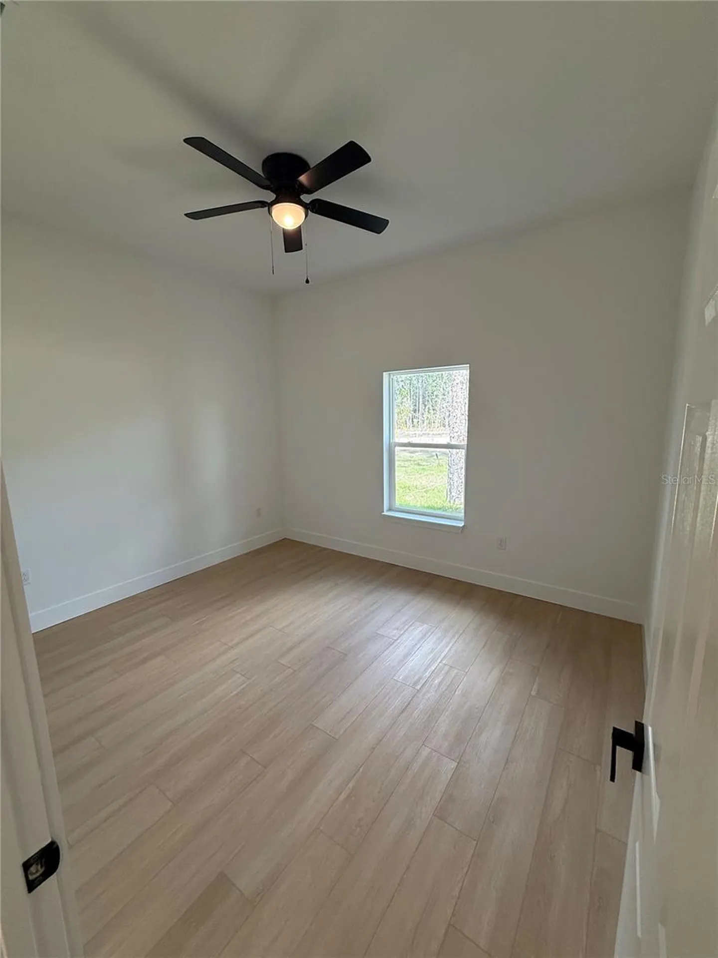 3785 W Wilhelm Street Citrus Springs FL 34433