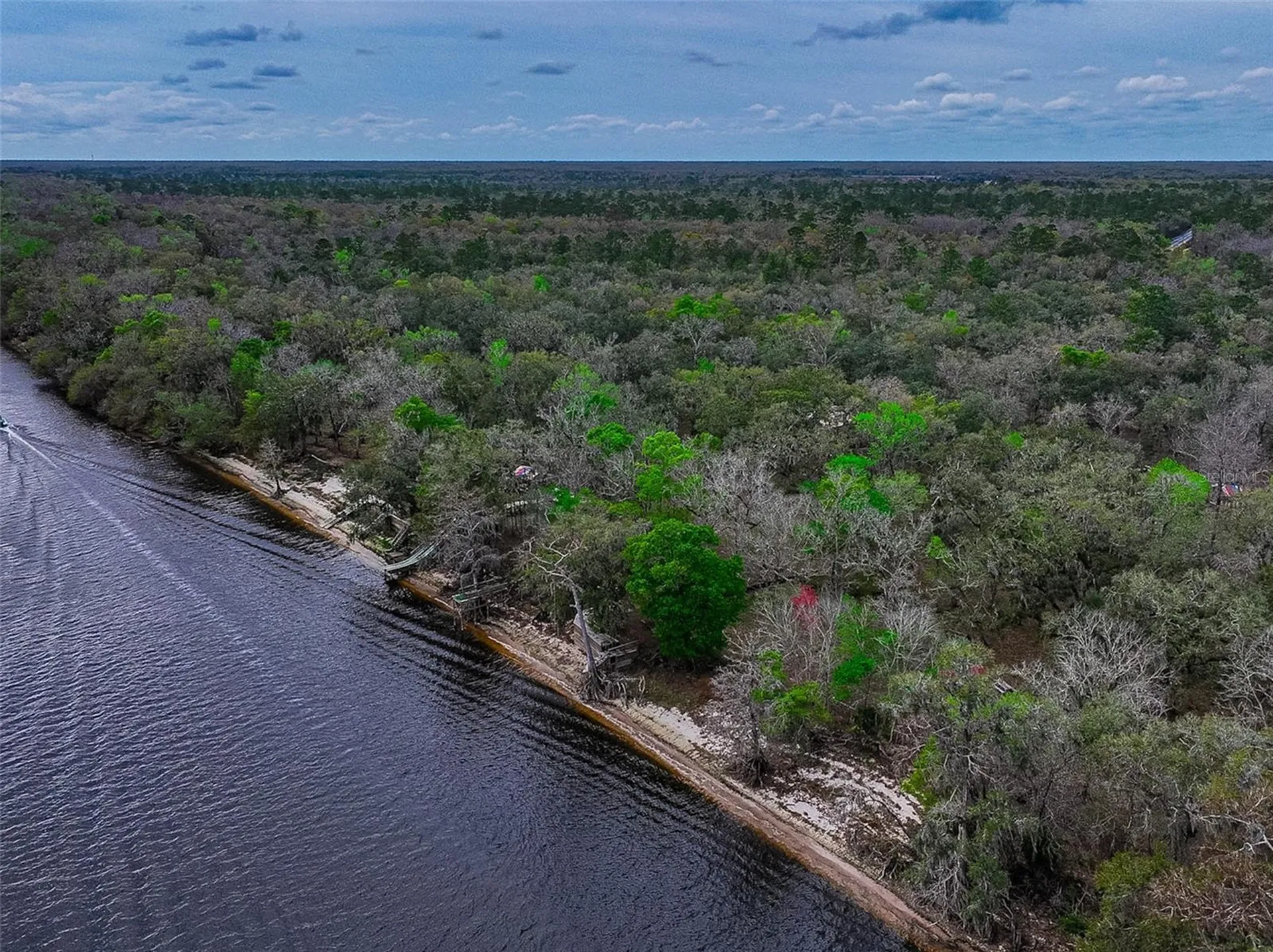 2878 NE 340 Highway Branford FL 32008