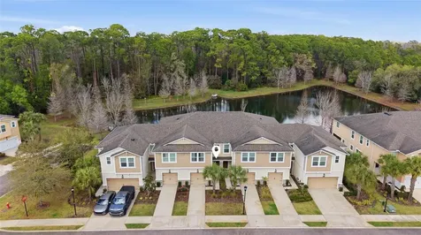 5525 Cumberland Star Court Lutz FL 33558