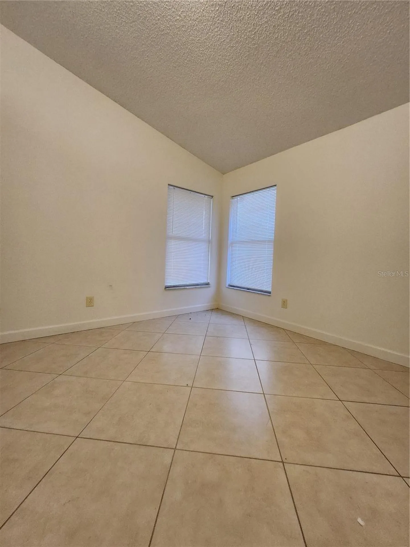 10102 Cedar Dune Drive Tampa FL 33624