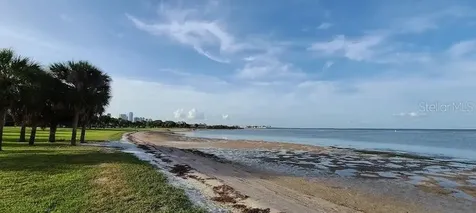 2502 Tropical Shores Drive SE St Petersburg FL 33705