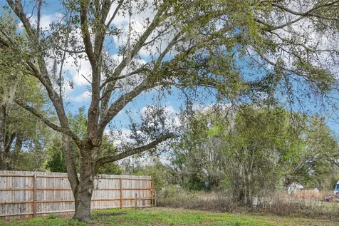 808 SE 124th Avenue Webster FL 33597