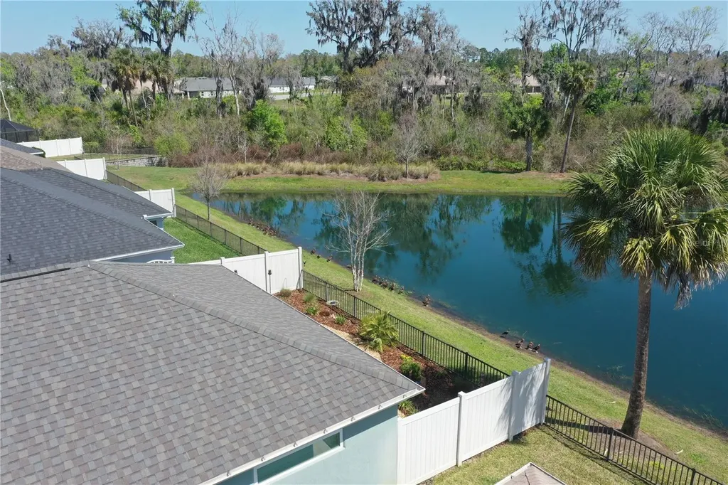 4193 Silvana Way The Villages FL 32163