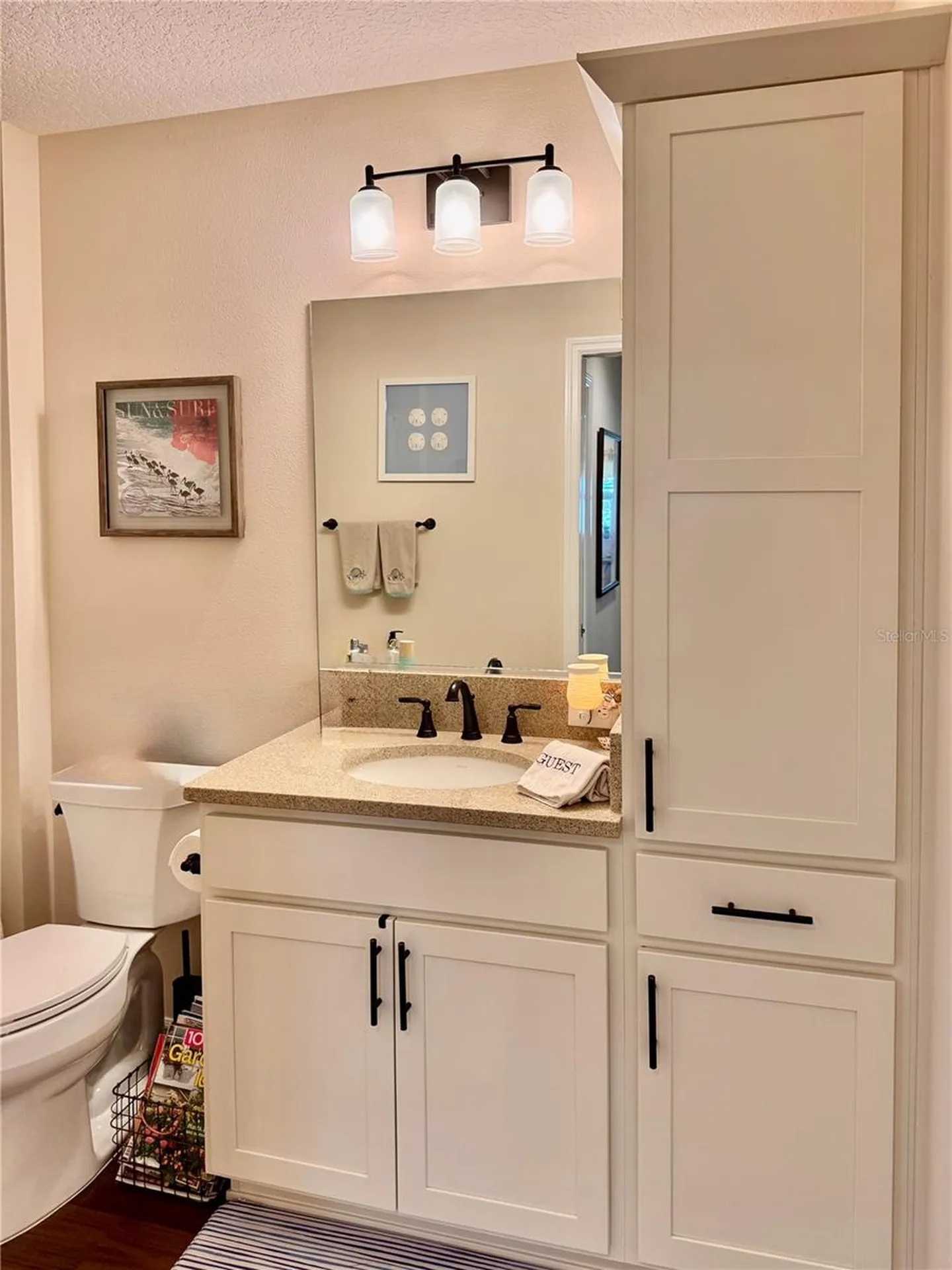 4193 Silvana Way The Villages FL 32163