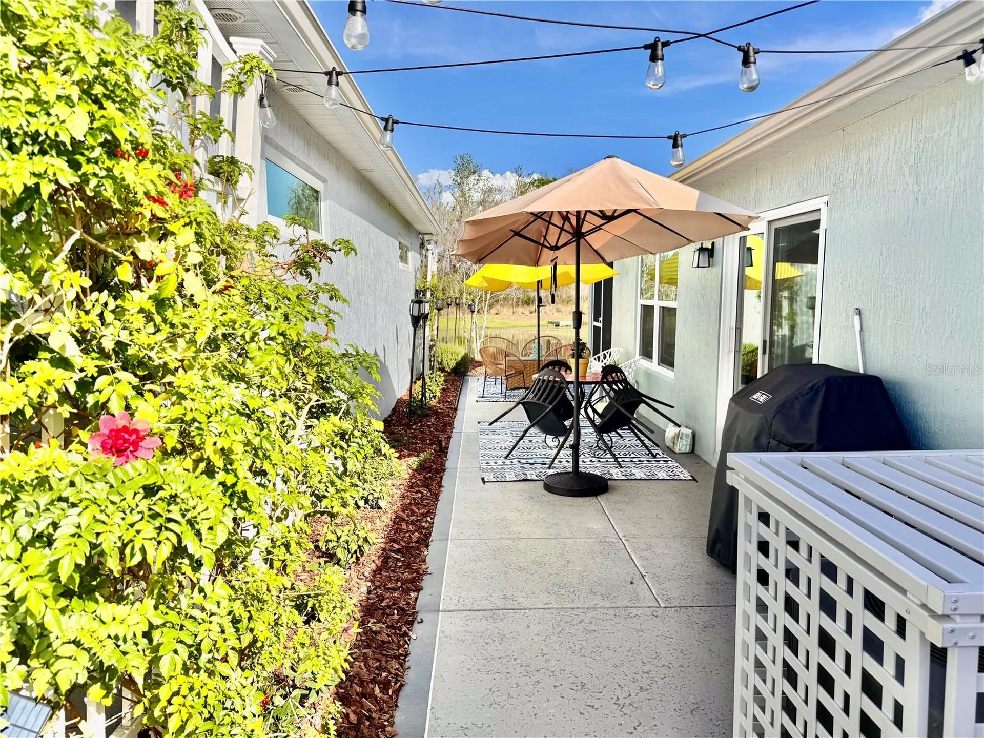 4193 Silvana Way The Villages FL 32163