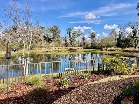 4193 Silvana Way The Villages FL 32163