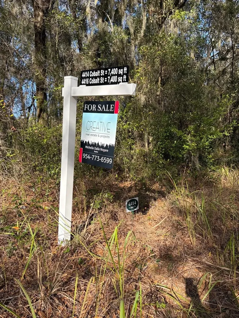4414 Cobalt Street Palatka FL 32177