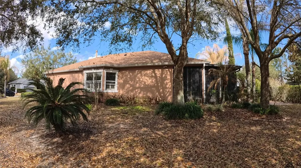 100 Flame Vine Way Groveland FL 34736