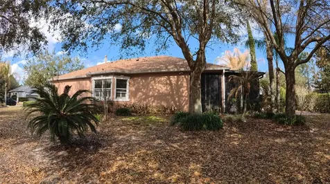 100 Flame Vine Way Groveland FL 34736
