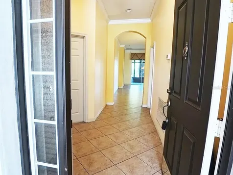 100 Flame Vine Way Groveland FL 34736