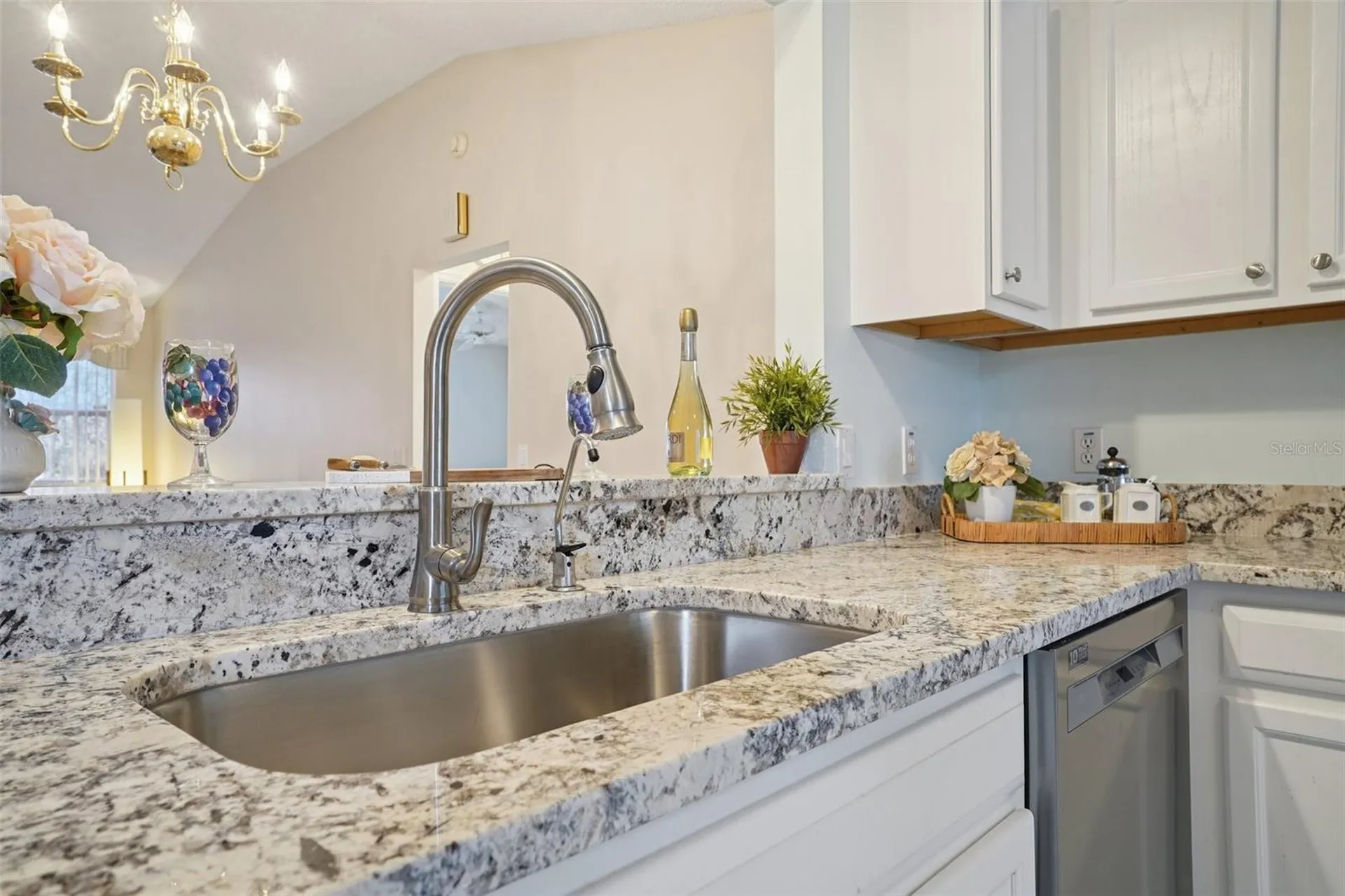 1204 Barcelona Drive The Villages FL 32159