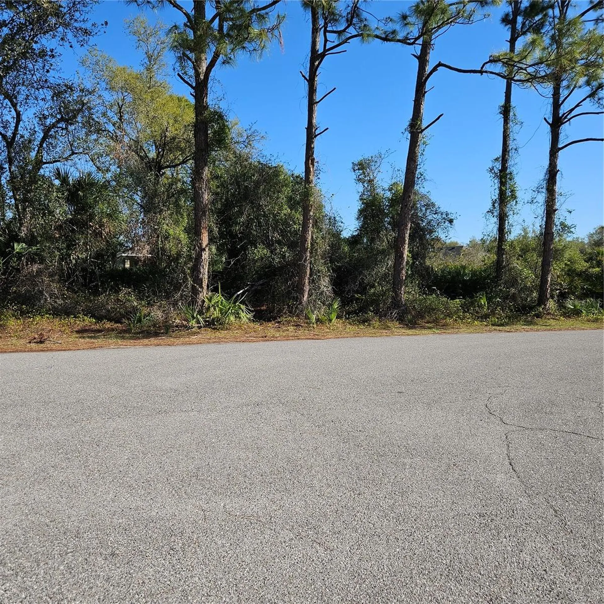 Janaro Road North Port FL 34288