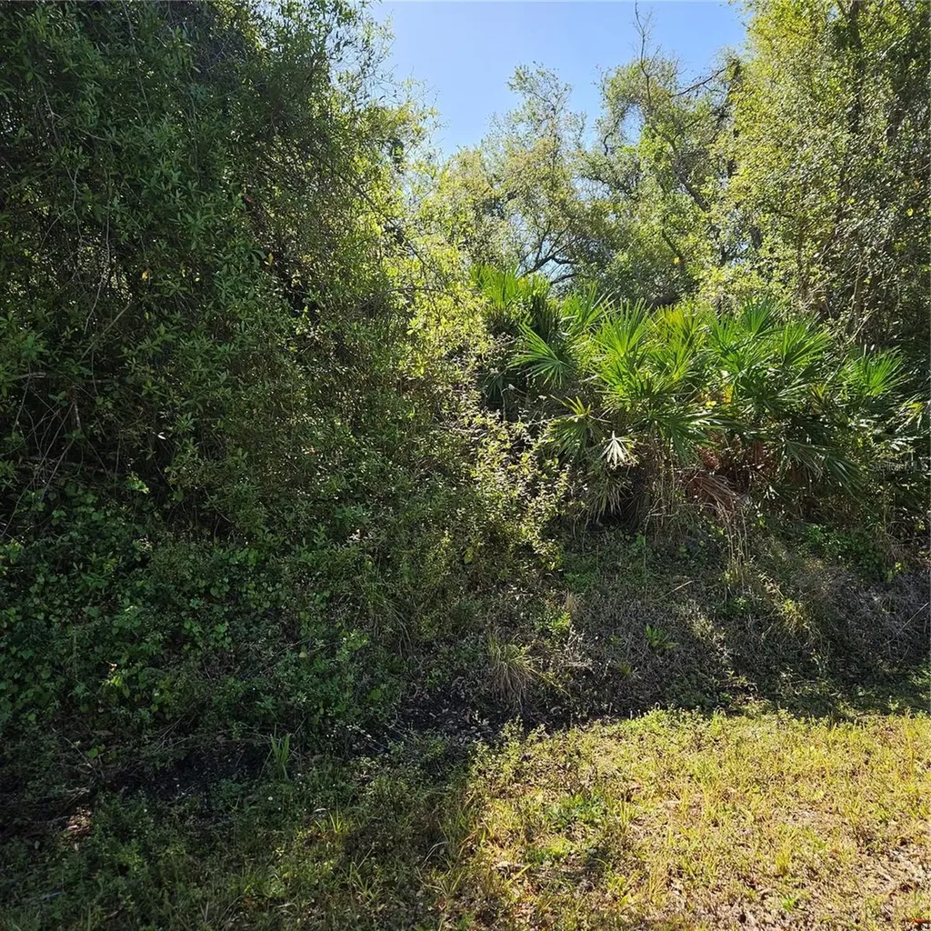 Janaro Road North Port FL 34288