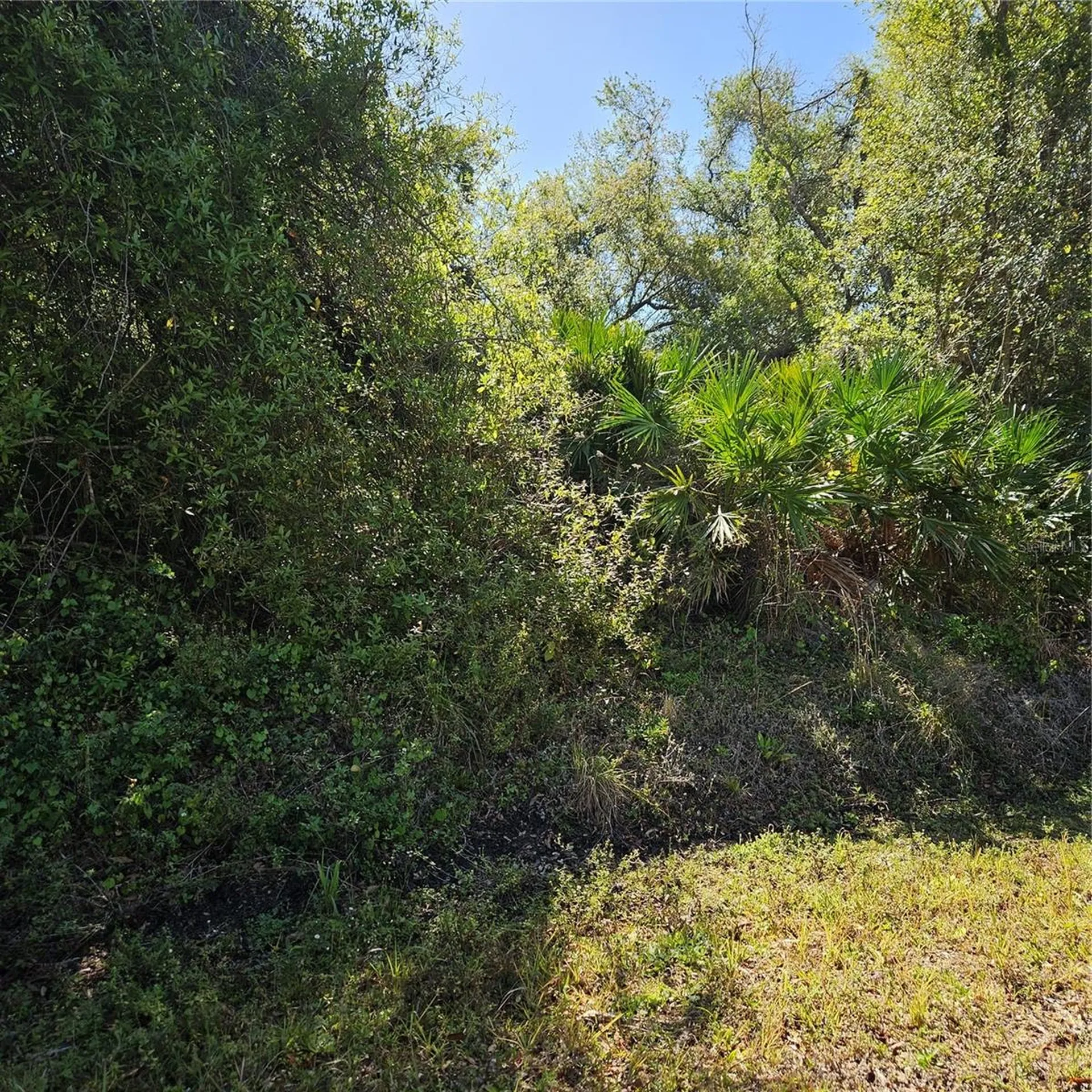 Janaro Road North Port FL 34288
