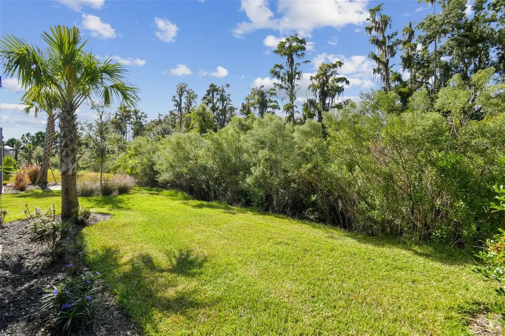 4399 Rosatti Road Wesley Chapel FL 33543