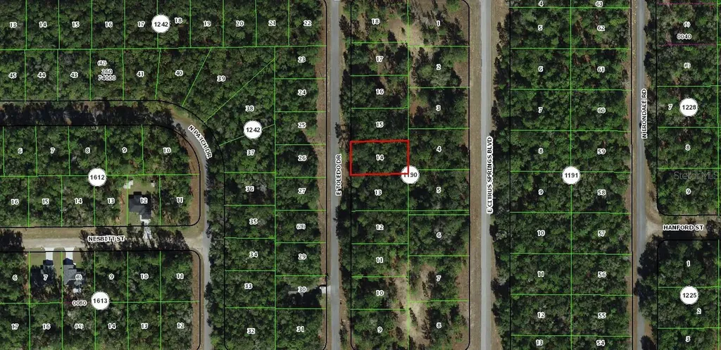 1273 E Toledo Drive Dunnellon FL 34434