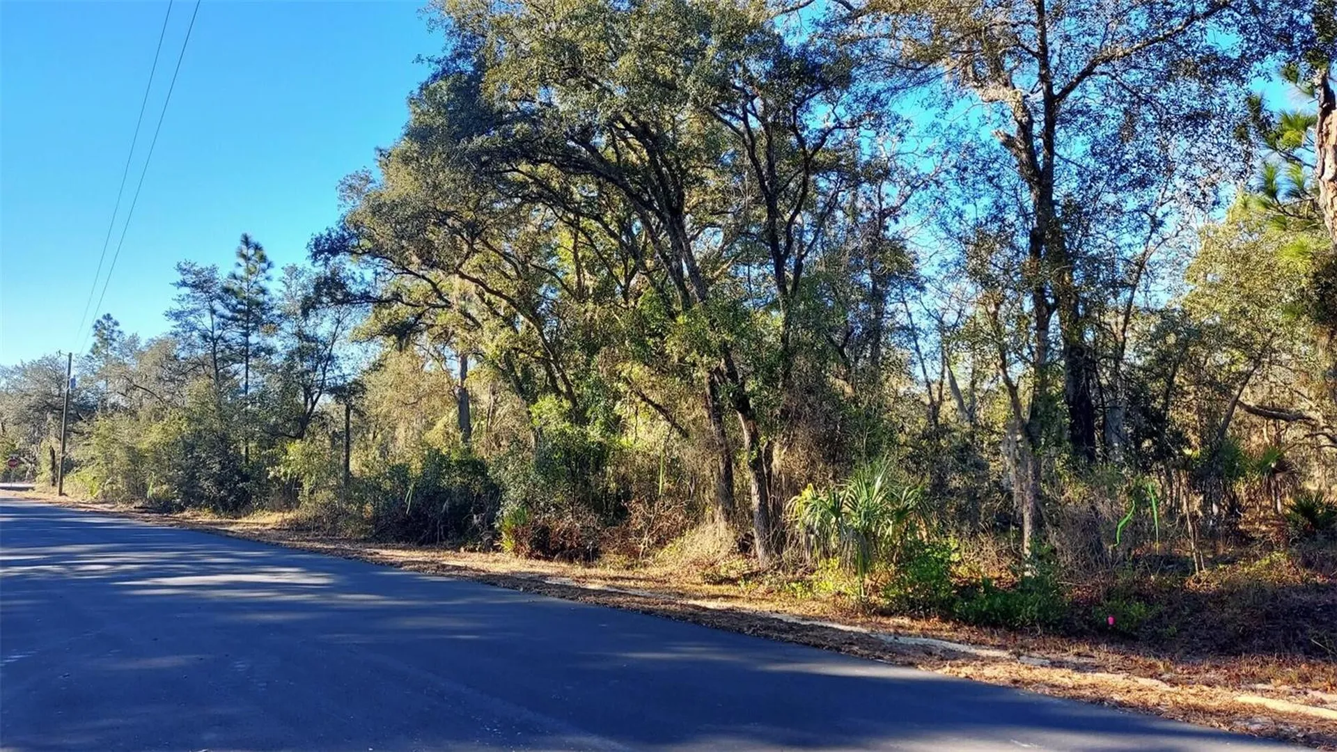 0 SE 124th Court Dunnellon FL 34431